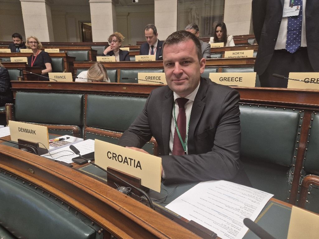 DARIO HREBAK - PREDSTAVLJAO HRVATSKU NA NATO PARLAMENTARNOM SUMMITU