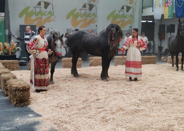 31. JESENSKI BJELOVARSKI SAJAM U GUDOVCU – NADMAŠIO SAJAM U RADGONI I NOVOM SADU